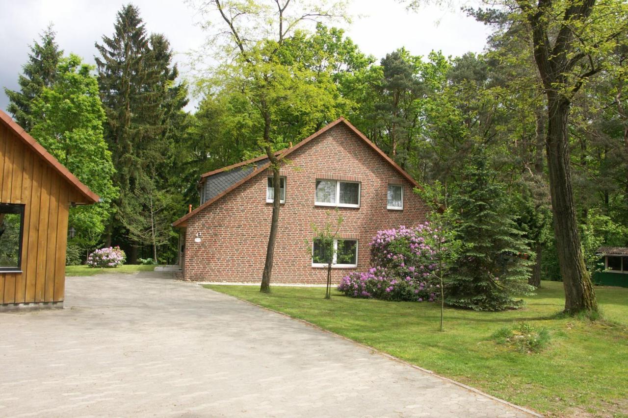 Ferienwohnung Im Waldhaus Bispingen Exteriör bild